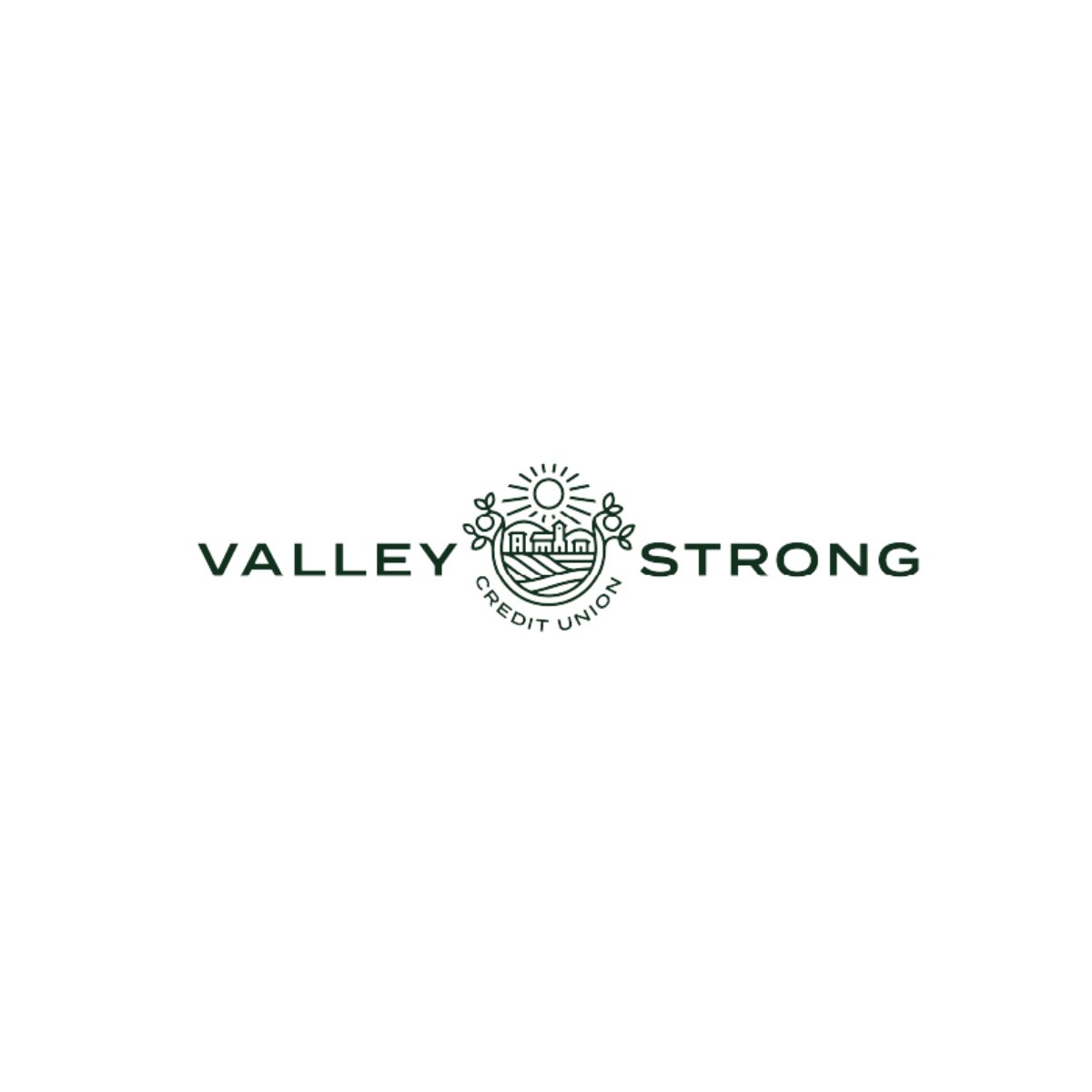 Valley Strong Credit Union Logo